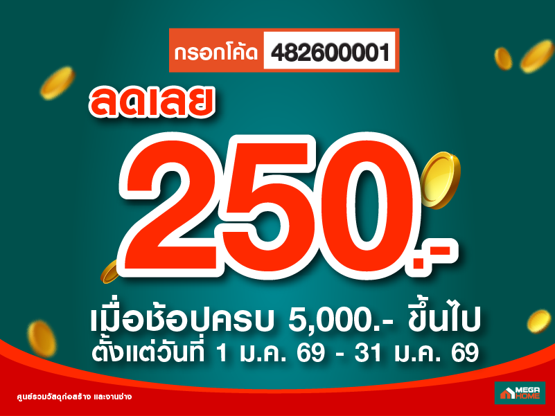 ช้อปออนไลน์ คูปอง 250